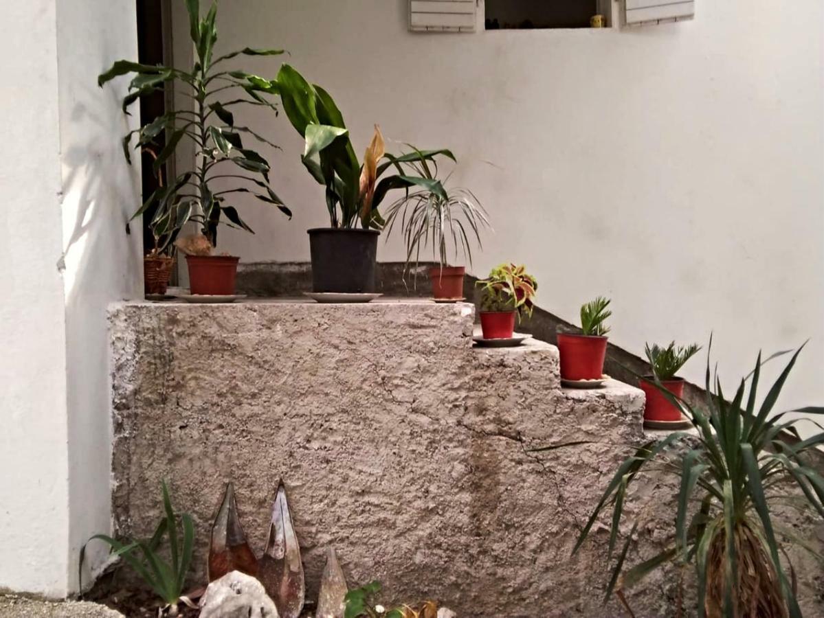 Apartment Vukanic كوتور المظهر الخارجي الصورة